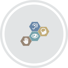Website Accessibility